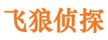 临武飞狼私家侦探公司